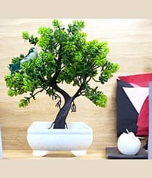 sanol Artificial Bonsai Tree for Living Room table Decor Bonsai Wild Artificial Plant with Pot (22 cm, Green)