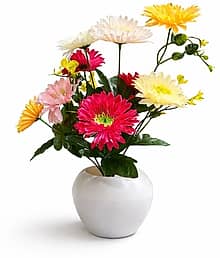 shanol Artificial Flower Arrangement in White Ceramic Decorative Vase Artificial Plant (30 cm, Multicolor)