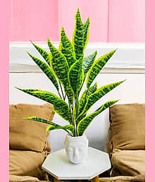 shanol Artificial Money Plant Leaves in Bhuddha Pot Pefect Decor for Home Bonsai Wild Artificial Plant with Pot (65 cm, Green)