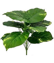shanol - Artificial mini green grass with wood pot for home decor Artificial Plant with Pot (60 cm, Green)